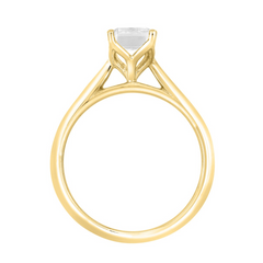 1.0 CT Certified Lab-Created Emerald Cut Diamond Solitaire Engagement Ring in 14KT White Gold Setting