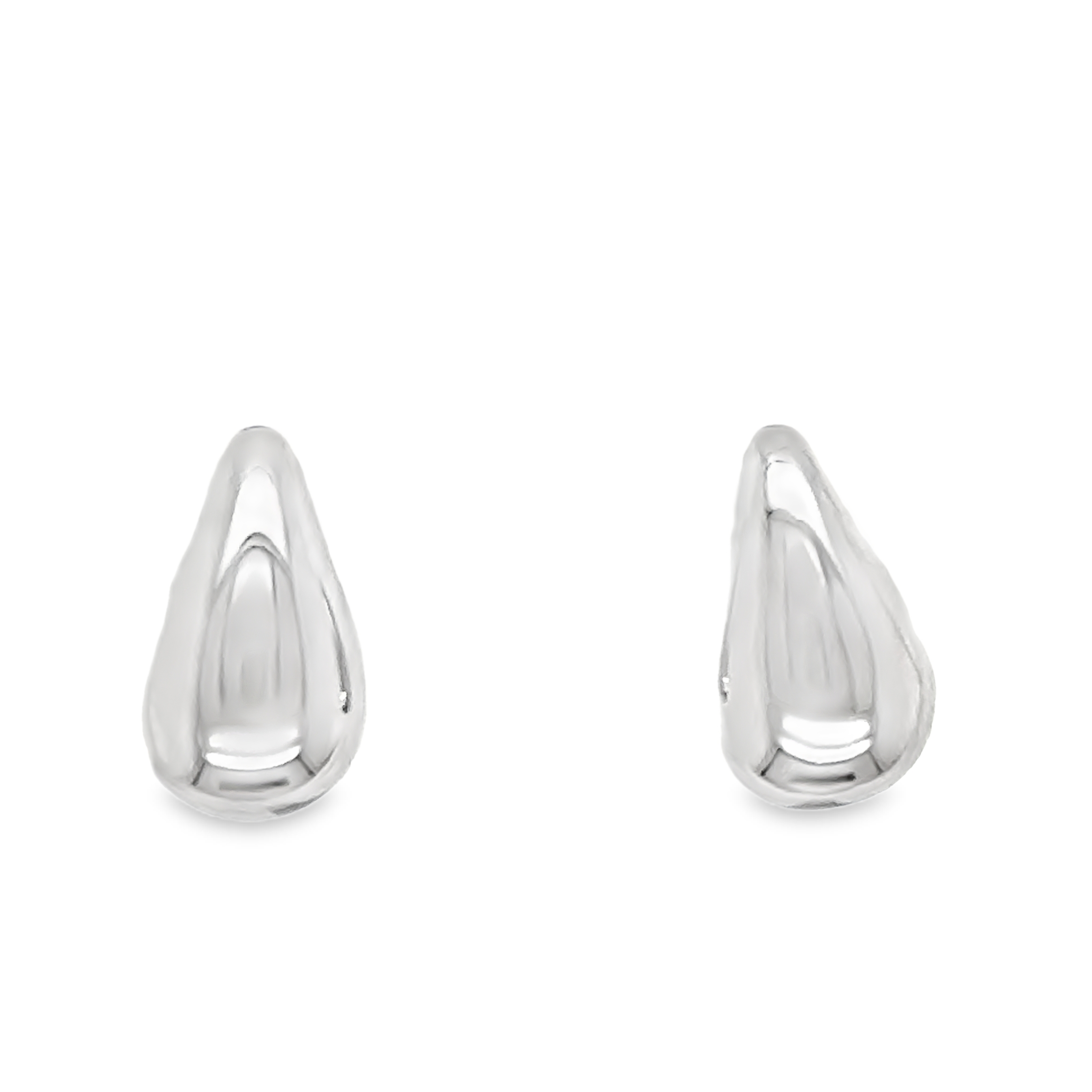 Silver Earring