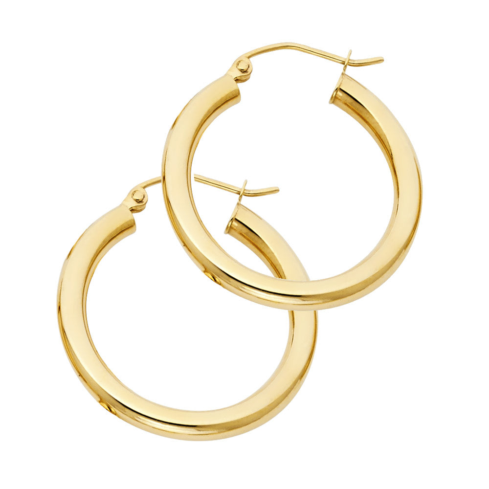 Gold Earring
