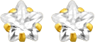 Gold Stud Earrings Broquele