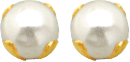 Gold Stud Earrings Broquele